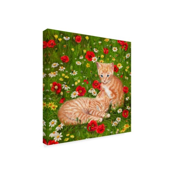 Janet Pidoux 'Ginger Kittens In Red Poppies' Canvas Art,24x24